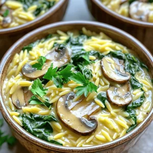 One Pot Creamy Mushroom Spinach Orzo Delight